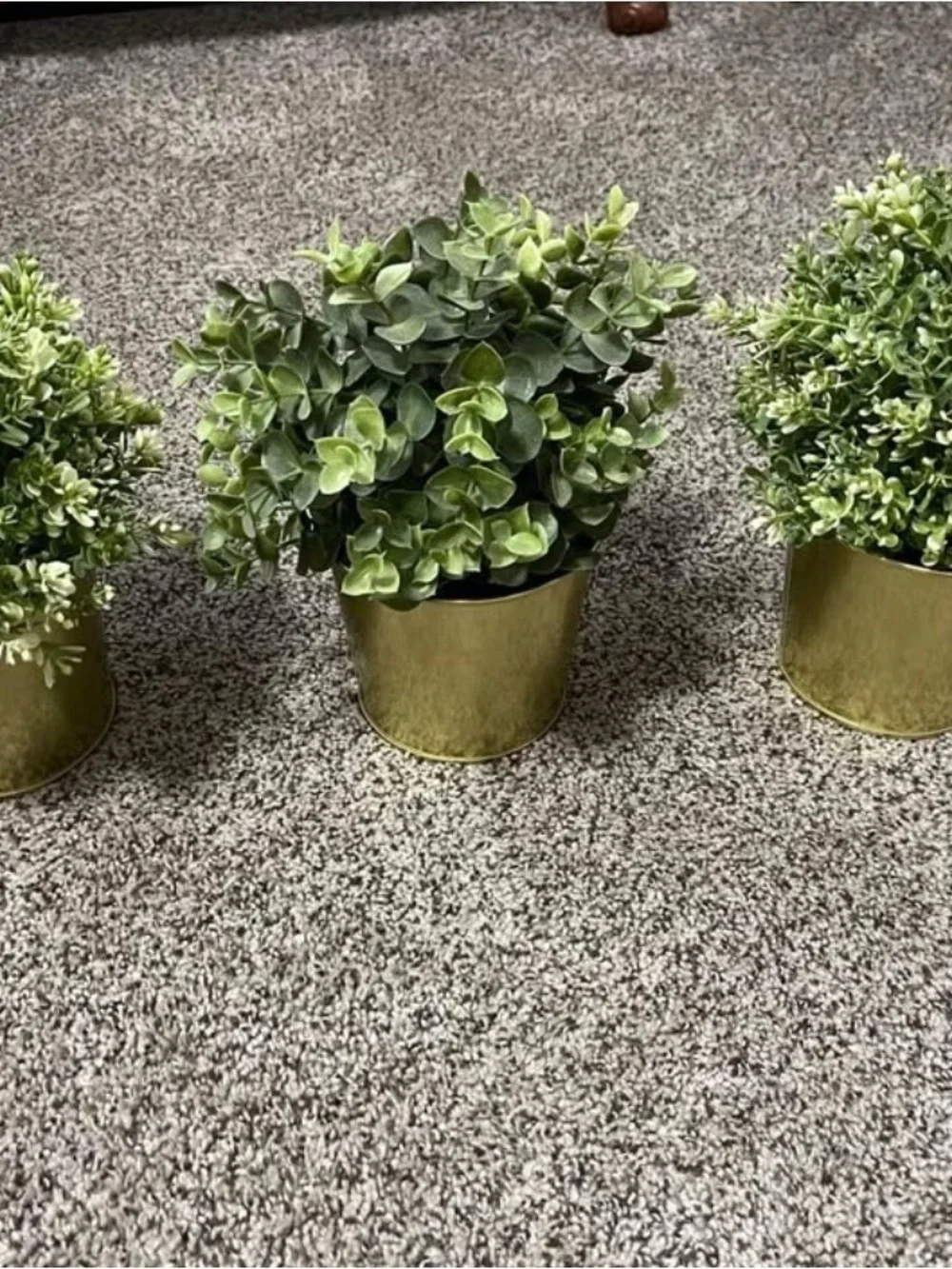 IKEA Plants and Gold Planters
